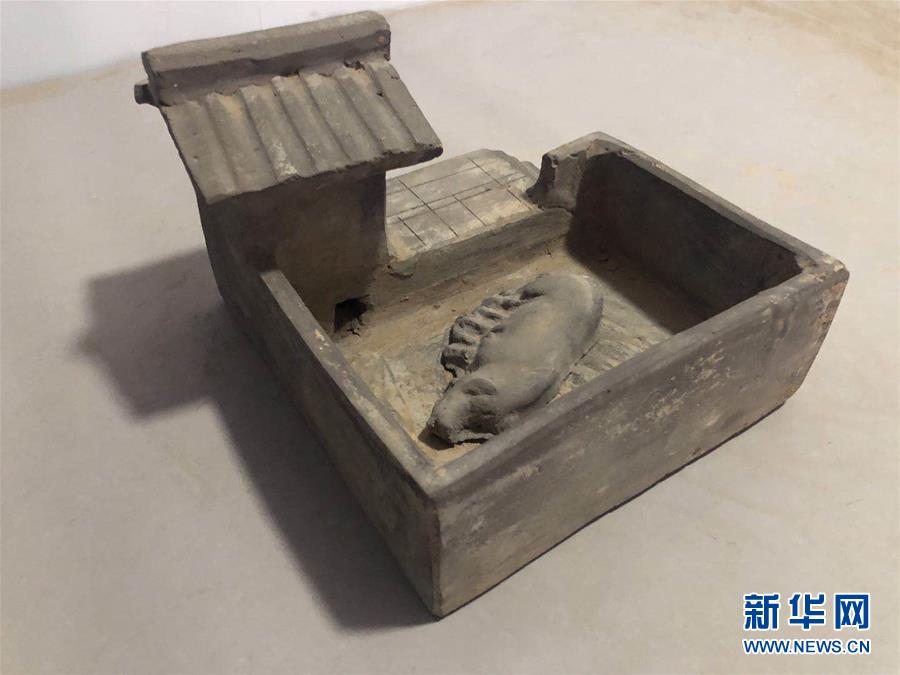 出土的陶豬圈C(鄭州市文物考古研究院供圖)
