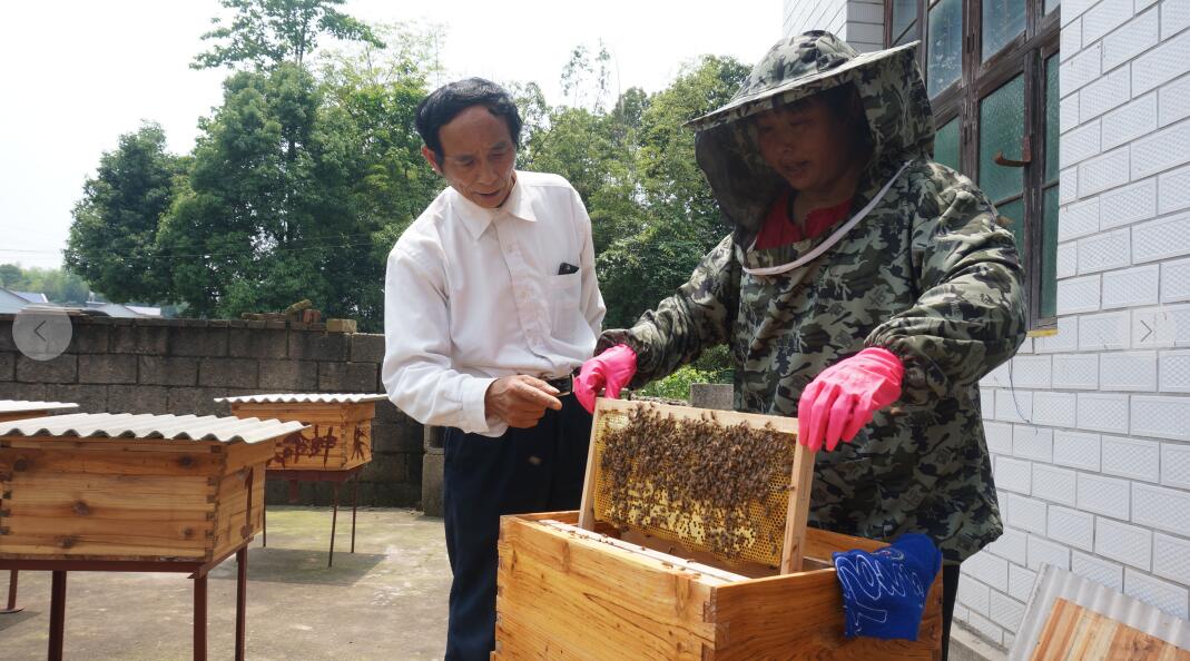 為村裡養蜂戶講解養蜂技術 受訪者供圖