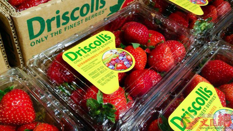 美產鮮草莓被列為首批可申請排除關稅商品 資料圖片