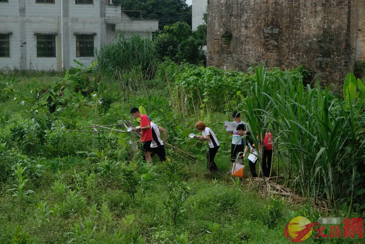 古驛道定向大賽今日]3日^在德慶金林水鄉舉行A圖為參賽運動員