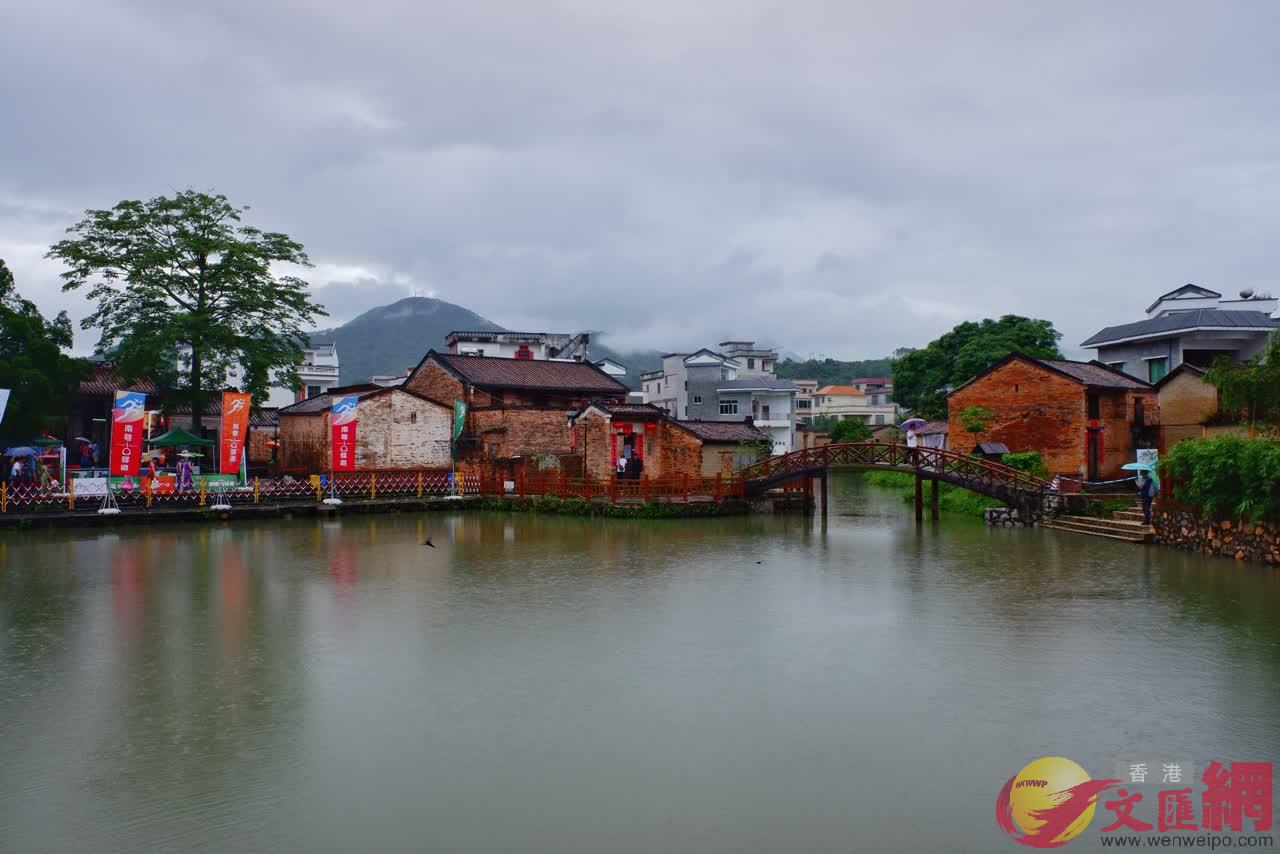 德慶金林水鄉風光