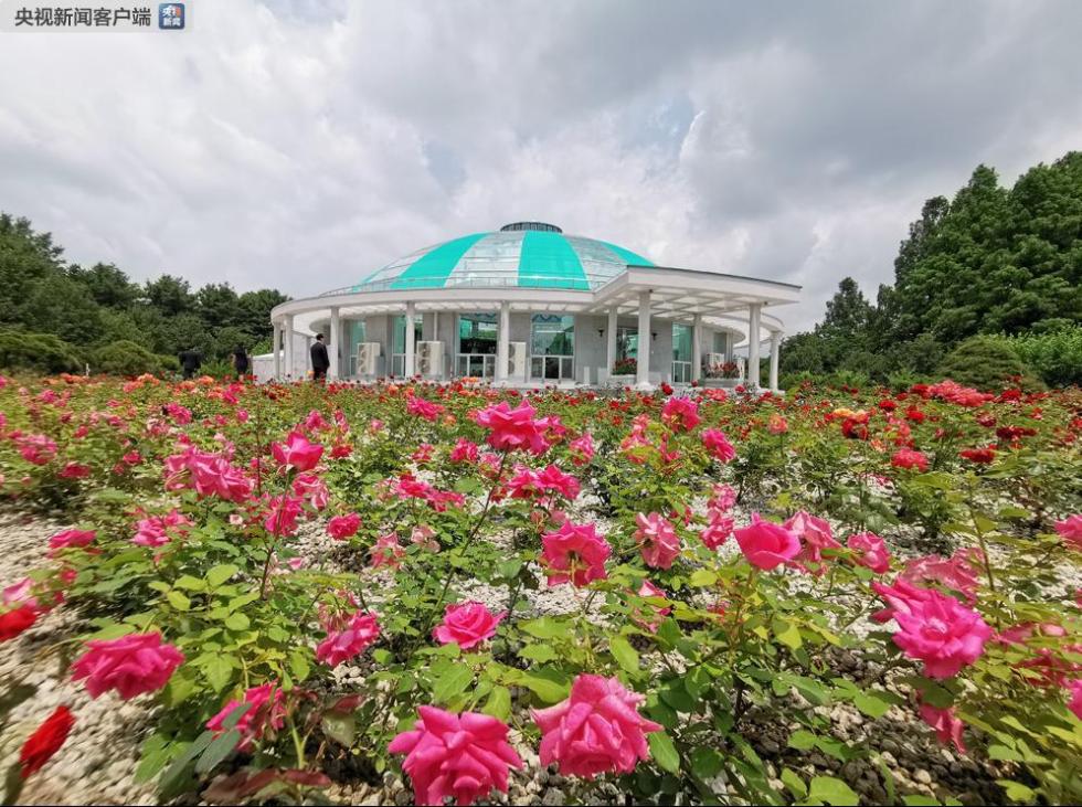 這是當天舉行午宴的錦繡山迎賓館玫瑰園C