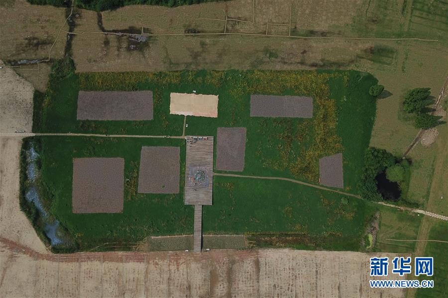 6月23日無人機拍攝的位於浙江省杭州市的良渚國家考古遺址公園的宮殿區C 新華社