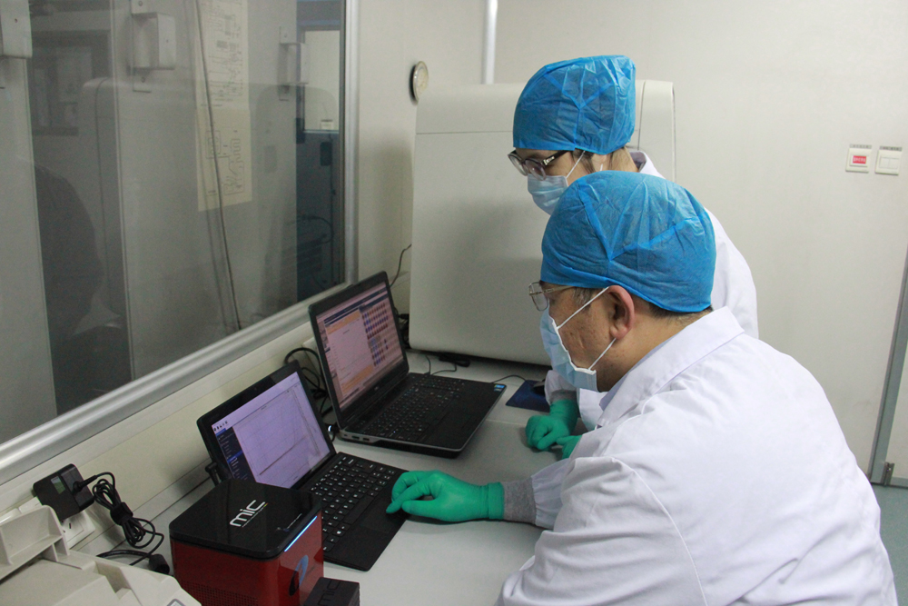 廣州海關加強登革熱病毒實驗室檢測 海關供圖