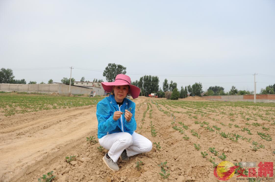 全國農業勞動模範B保定市易園生態農業科技開發有限公司創始人蔣曉霞(記者顧大鵬攝) 