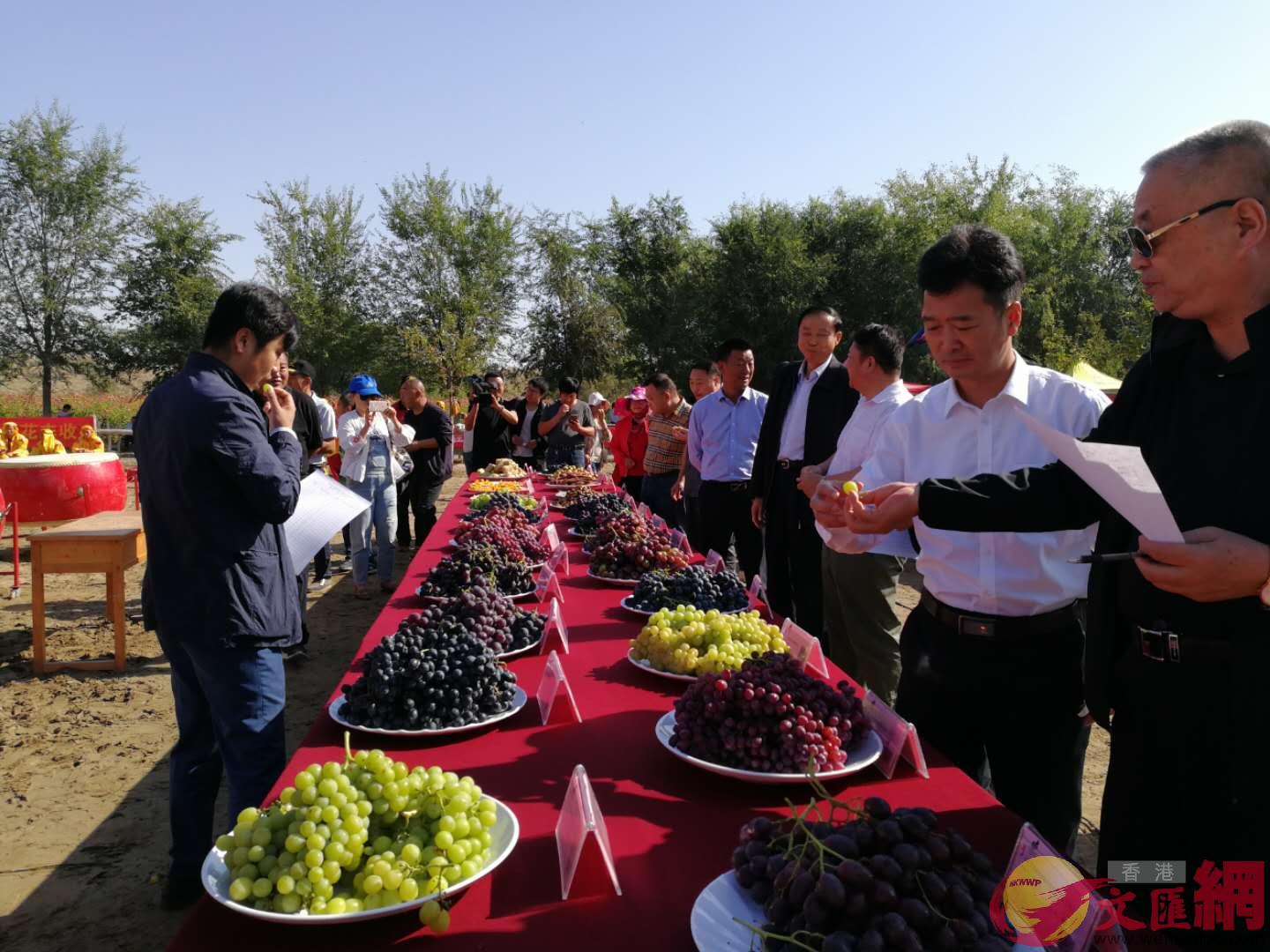 圖為新疆石河子慶祝u中國農民豐收節v活動現場 應江洪攝