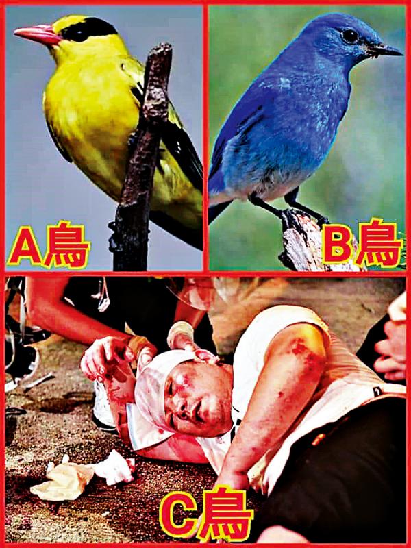 亂港分子近日製作多款「獅鳥」圖文宣，鼓動美化暴力，灌輸打人合理化（網上圖片）