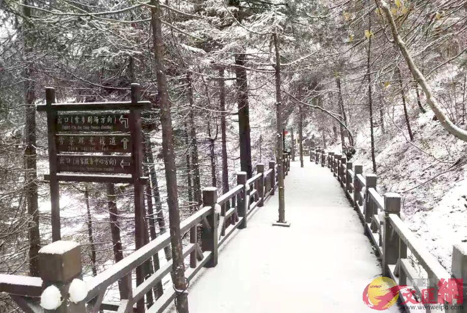 雪鄉景區迎來了2019年入秋的第一場雪C于海江/攝