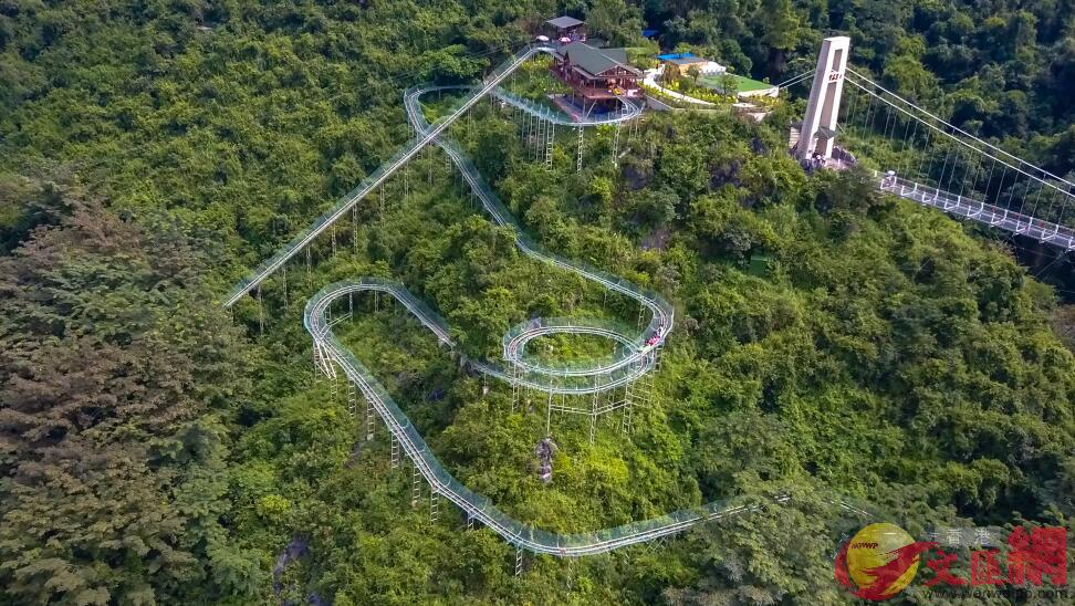 世界最長懸空叢林飛車(方俊明 攝)