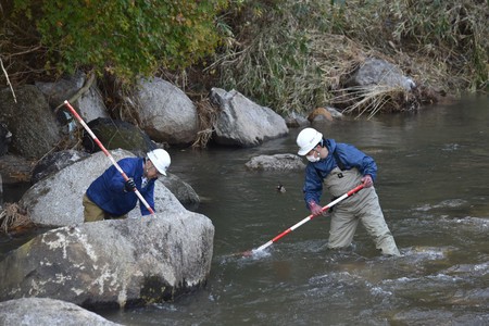 福島縣職員正在河中尋找核污染物垃圾袋]時事通信社^