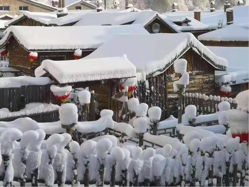 雪景與木質矮簷B紅燈籠相映成趣C ]記者吳千 攝^
