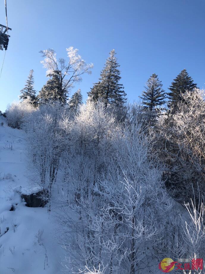 霧淞也是吉林雪場的一大特色C本網記者盧冶攝