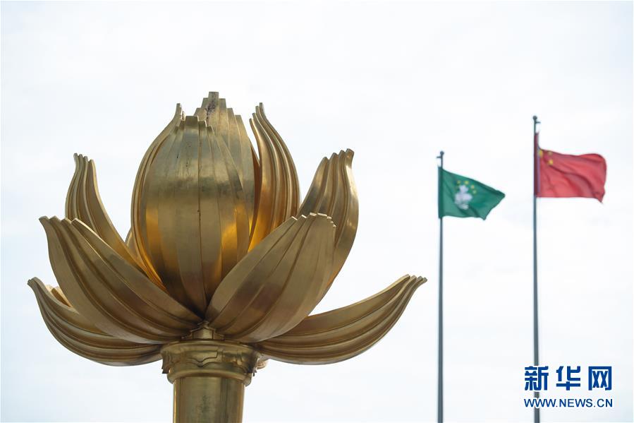 這是澳門金蓮花廣場上的《盛世蓮花》雕塑(12月13日攝)。新華社