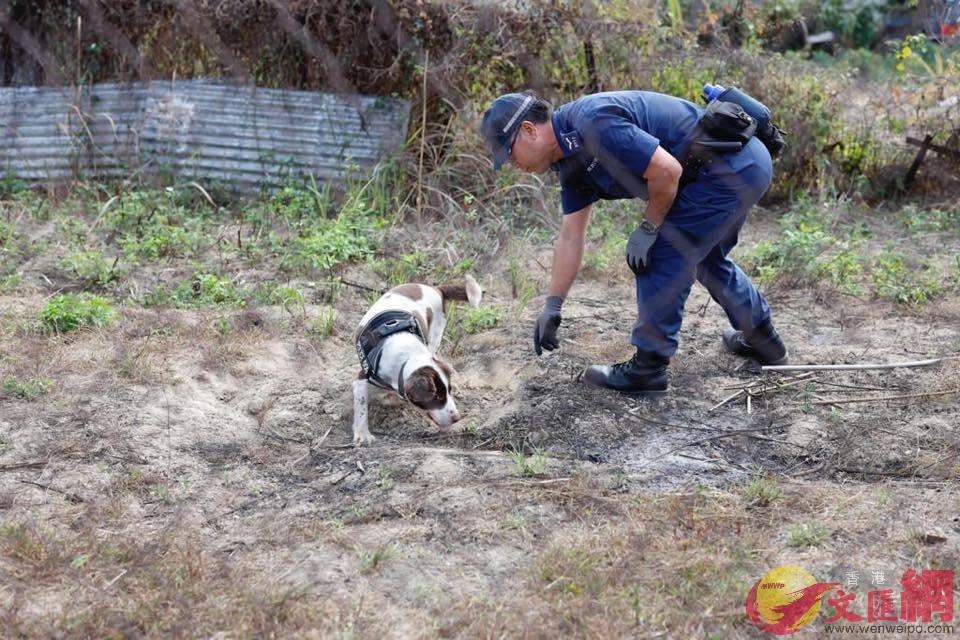 警方出動炸彈犬搜索農地C 