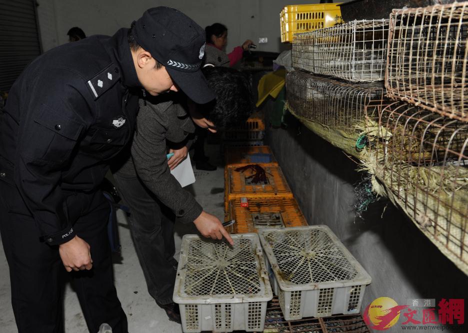 廣東受訪者表示沒吃過野生動物也不想嘗試A圖為近年打擊破壞野生動物行動]方俊明攝^