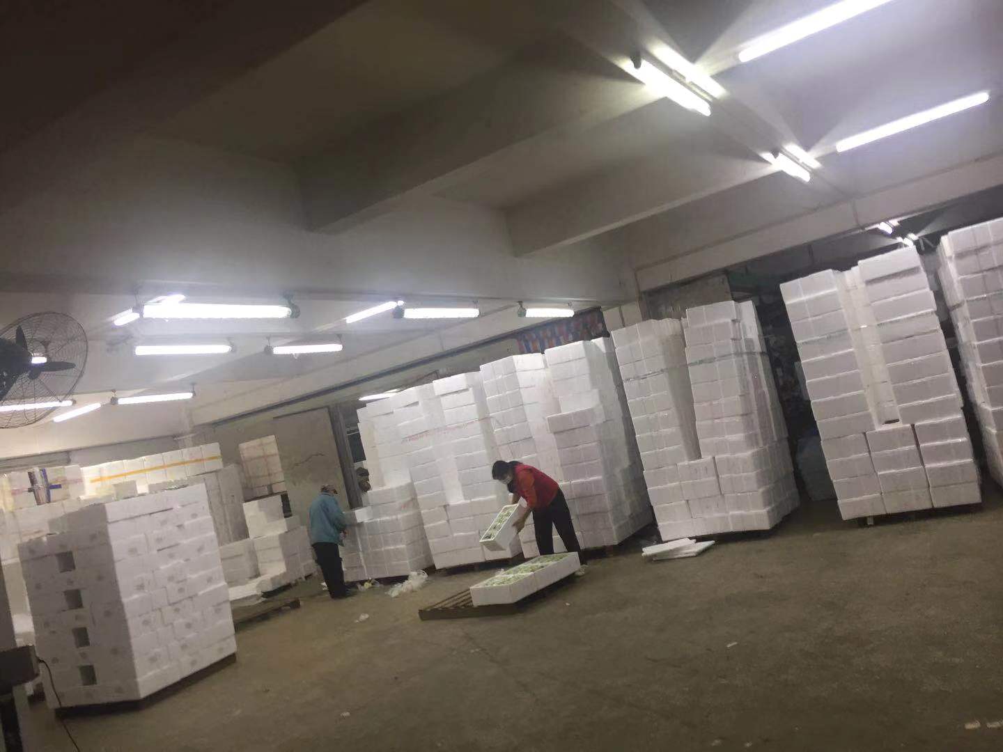 供港廠商紛紛表示A保障香港供應沒有問題C圖為東莞六盛農產品有限公司員工在倉庫整理裝箱C受訪者供圖 