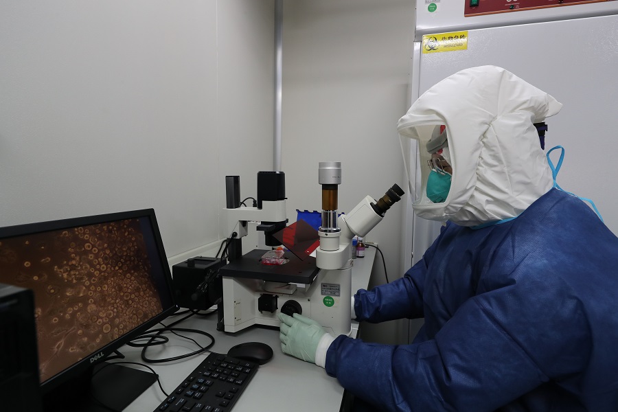 廣州海關技術中心生物安全三級實驗室開展病毒分離研究C廣州海關供圖