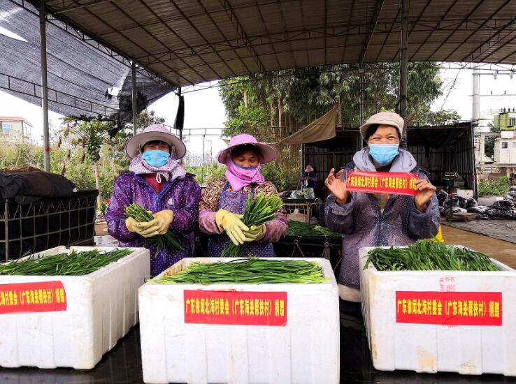 北海村村民把自家種的韭菜裝箱送上開往武漢的卡車C受訪者供圖