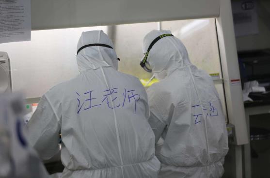 中國科學家汪建在武漢一線華大實驗室制備測檢測試劑]資料圖片^