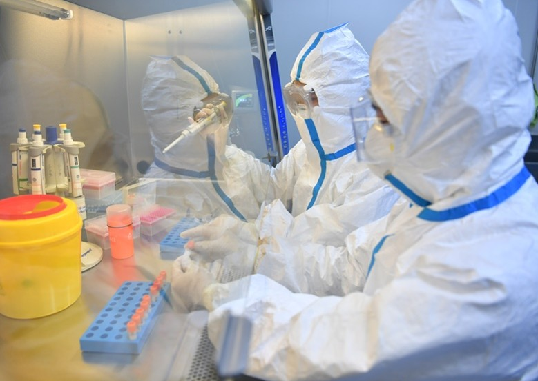 實驗室工作人員正進行新冠病毒核酸檢測。（中新社）