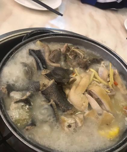 廣州酒店裏的蛇類菜式 ]資料圖片^