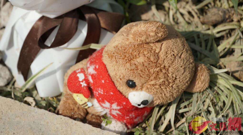 玩具熊躺倒在綠化隔離帶上A身上沾染了灰塵(記者蔣煌基攝)