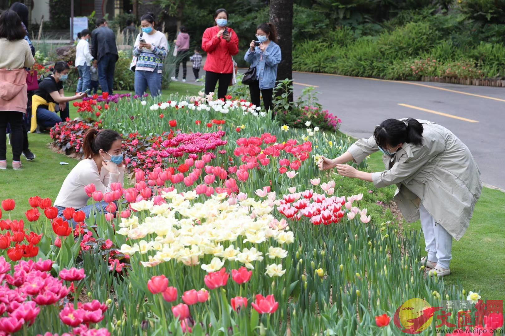 深圳仙湖植物園為全國醫護免費入園 記者 郭若溪攝