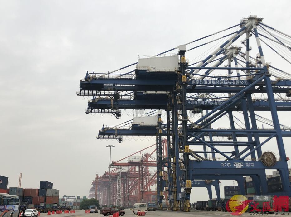 廣州港今年第一季度外貿糧食進口同比增長87%。(方俊明攝)