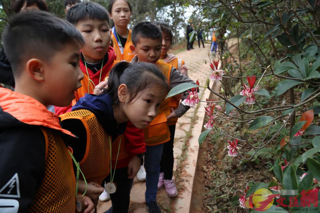 華南珍稀瀕危植物保育研究中心啟建A圖為中小學生開展自然教育C(記者 方俊明 攝)