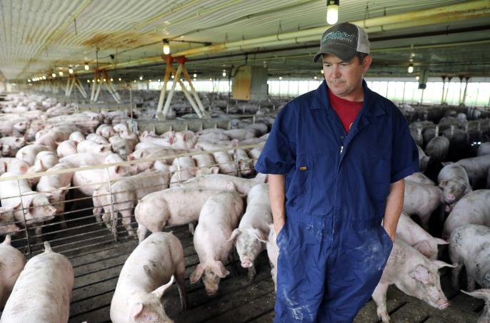 美國現時最少28間肉類加工廠停工，多間工廠亦因上班工人減少，使肉類產量大減，當地豬肉價格過去一周已升近30%（路透社）