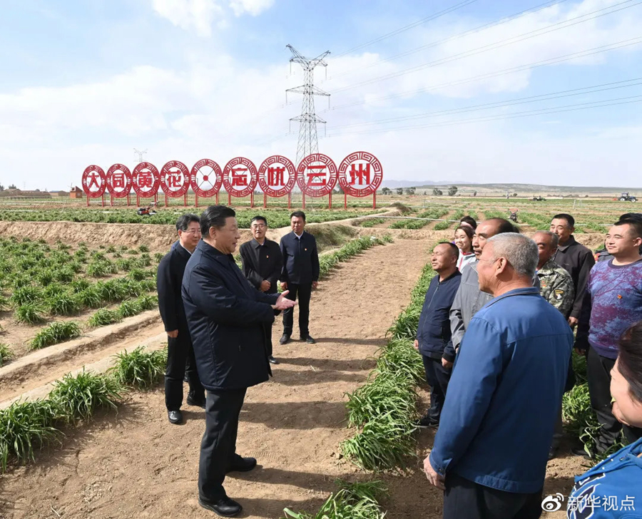 習近平考察大同市雲州區有機黃花標準化種植基地 新華社記者李學仁攝