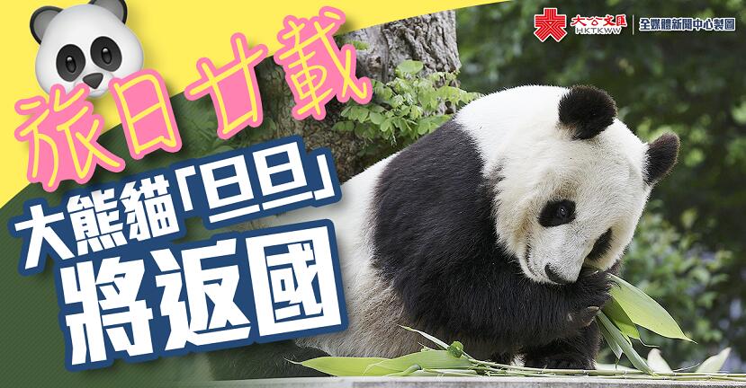 租借予日本的大熊貓u旦旦v將返回中國
