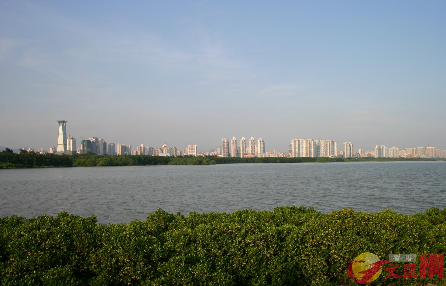 深圳市福田紅樹林國家重要濕地是深圳和香港兩地間的一塊綠洲�C(方俊明攝) 