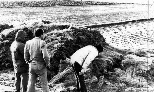 華城連環殺人案現場（韓聯社）