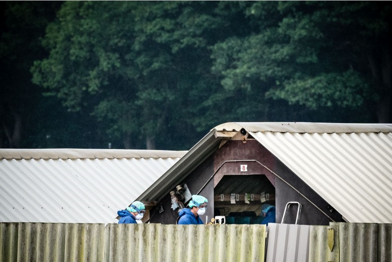 荷蘭亦發生疑似水貂傳染人事件A圖為當地防疫人員全副武裝進入養殖場撲殺水貂C]法新社資料圖片^