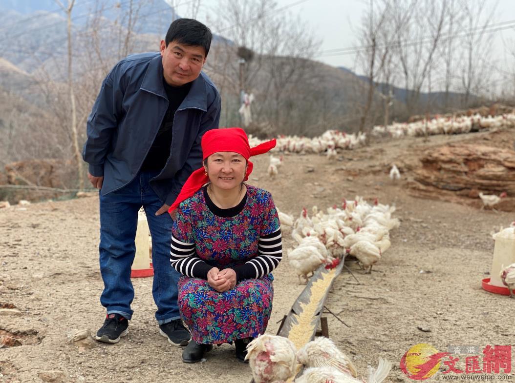 趙小燕和馬志強夫婦養雞為生A狼牙山雞婆婆B雞公公遠近聞名C記者顧大鵬攝 