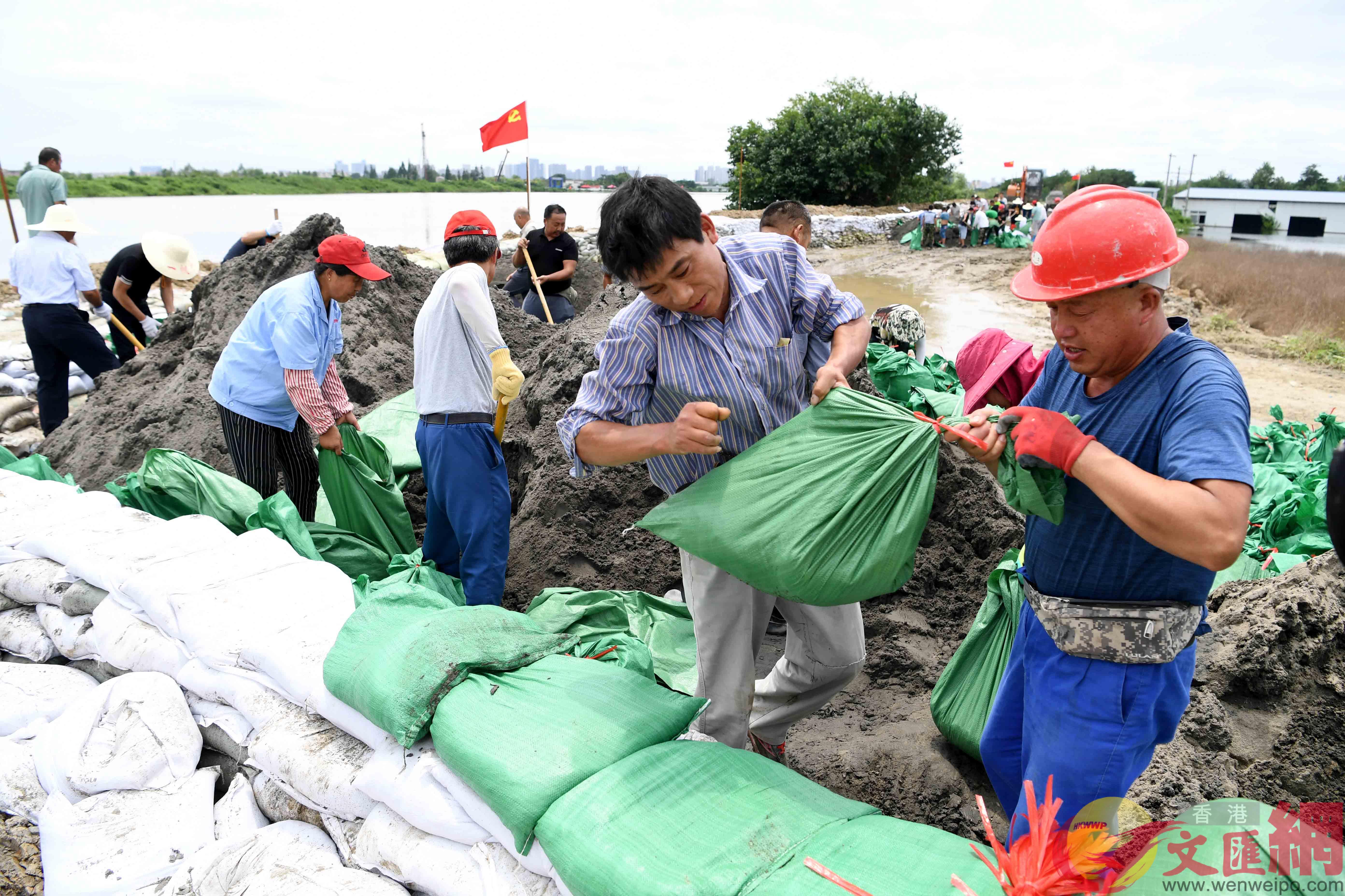 合肥市瑤海區大興鎮南淝河合鋼內河段A黨員先鋒突擊隊在加高加固沿河堤壩]記者解琛 攝^