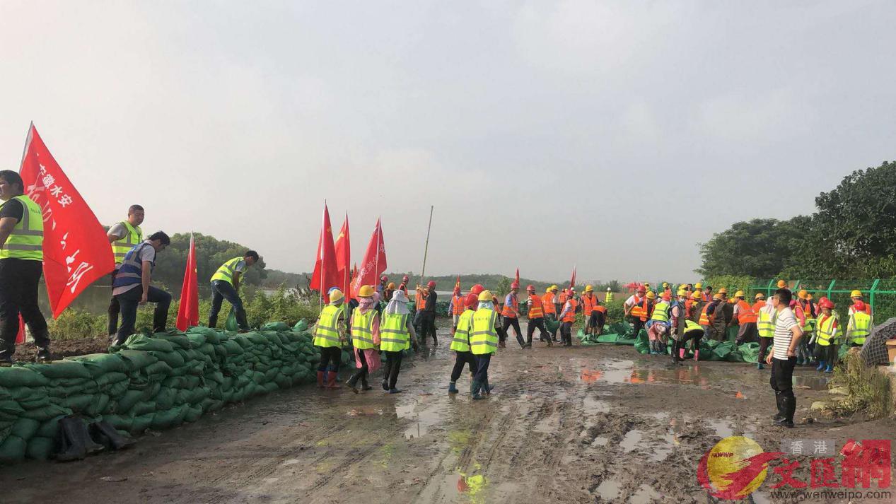 近日A搶險突擊隊100餘人對合肥南淝河沿線合剛引水渠段堤防進行加高加固]記者解琛 攝^