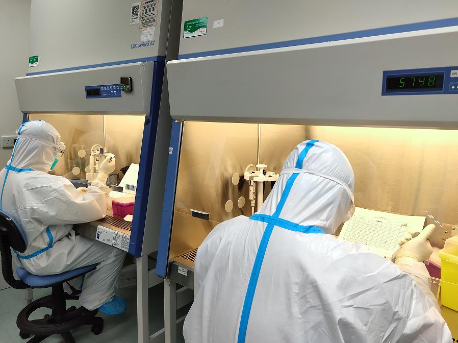 圖為金域醫學香港實驗室在開展核酸檢測工作C受訪者供圖