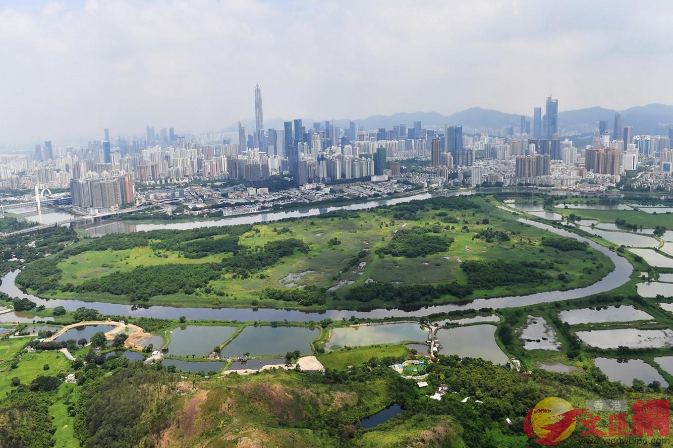 深港科技創新合作區深圳園區 記者何花攝