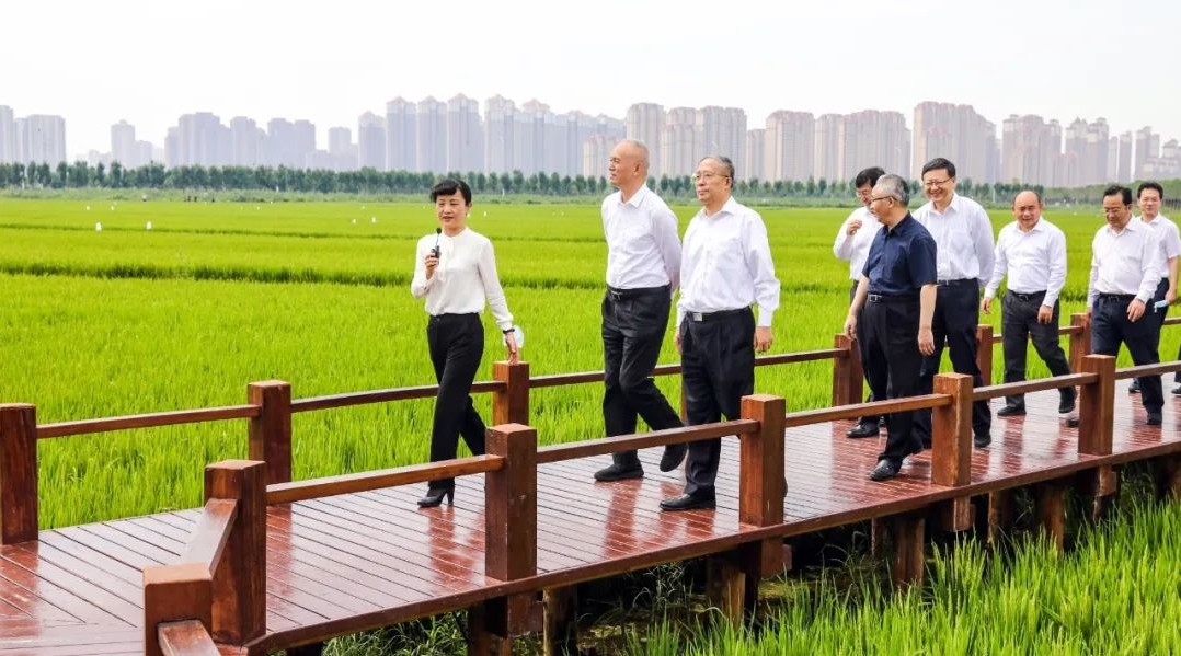 北京黨政代表團赴津南考察綠色生態屏障