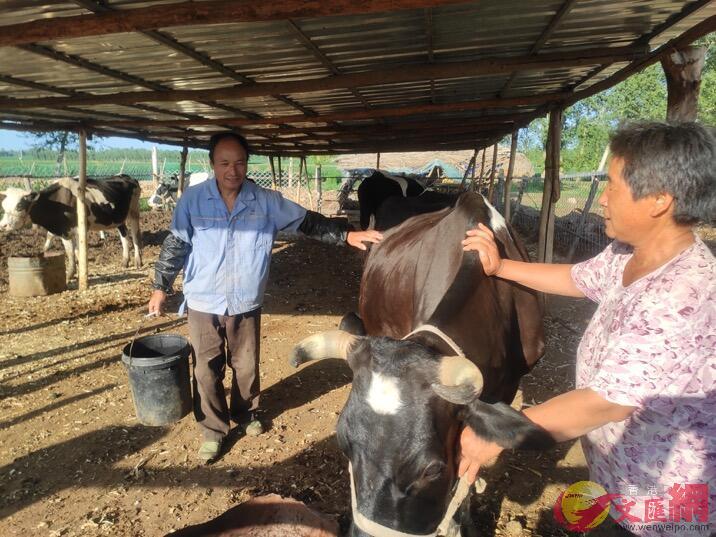 和牛產業成為龍江縣農民增收致富的重要渠道C記者于海江 攝