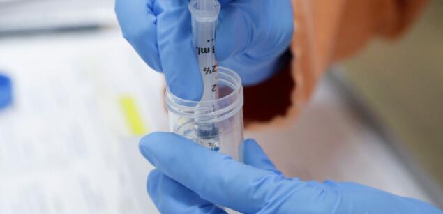 澳洲研究人員發現抗SARS病毒化合物或可治療新冠肺炎 澳洲研究人員發現抗SARS病毒化合物或可治療新冠肺炎